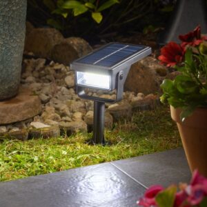 Solar powered spotlight in the dark lighting a path with grass and plants around