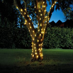 Warm white solar powered string lights wrapped around a tree trunk at night time with a hedge and lawn