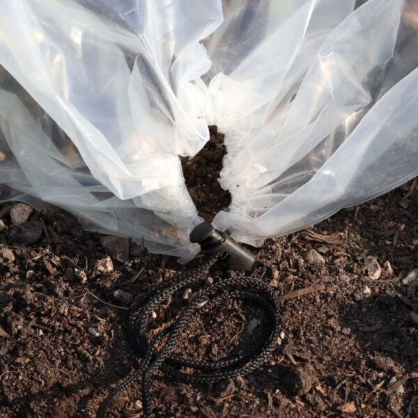 Easy Poly Tunnel - Image 3