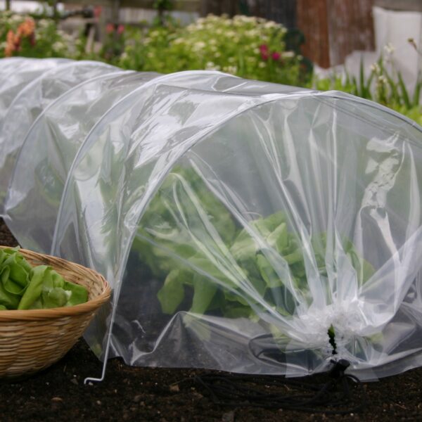 Easy Poly Tunnel - Image 2
