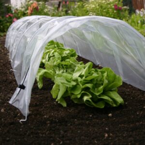 Easy Poly Tunnel