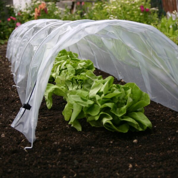 Easy Poly Tunnel