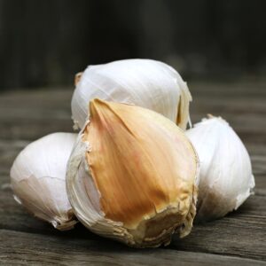 Garlic - Elephant