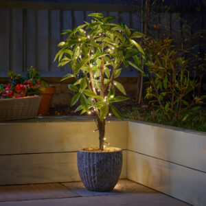 Solar powered warm white LED string lights wrapped around a pot plant on a deck with raised beds