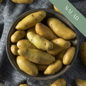 A bowl of Ratte yellow fingerling salad potatoes on a blue grey cloth.