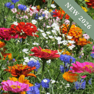 All Summer Cutting Meadow Mix