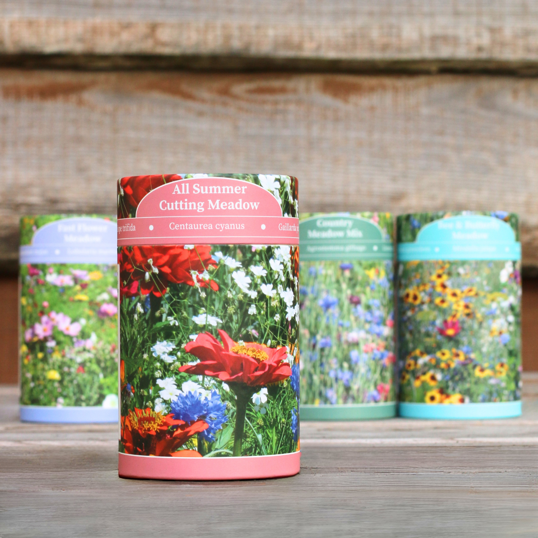 All Summer Cutting Meadow Mix - Image 3