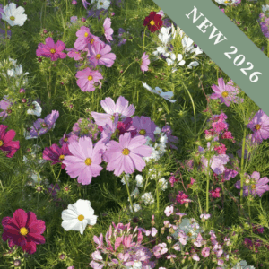 All the Cosmos Flower Meadow Mix