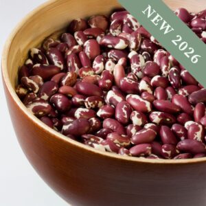 A wooden bowl of Anasazi 1500 Year Old Cave Beans with purple and white cow print patterning.