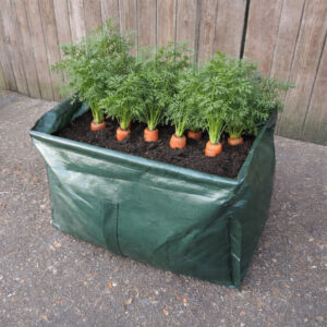 A green fabric carrot planter grow bag with leafy foliage in front of wooden barn garden shed doors