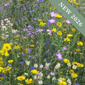 Country Meadow Mix