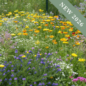 Dry Ground Meadow Mix