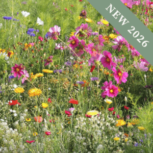 Fast Flower Meadow Mix