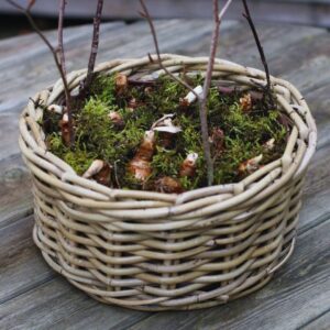 Large Paperwhites Planter