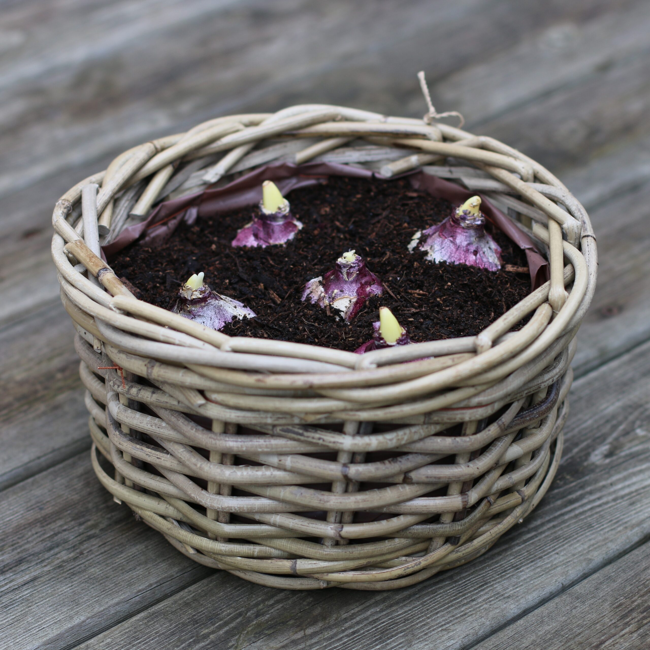 Medium Basket - Hyacinth - 3 - 071125 - PSD SQ