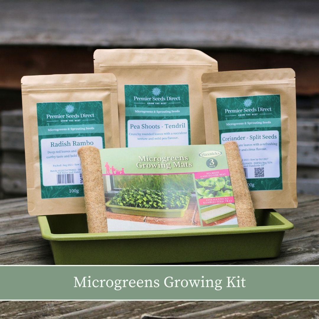 Microgreens Xmas Banner