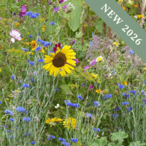 Organic Edible Flower Meadow Mix