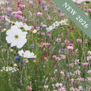 Pastel Carpet Meadow Mix