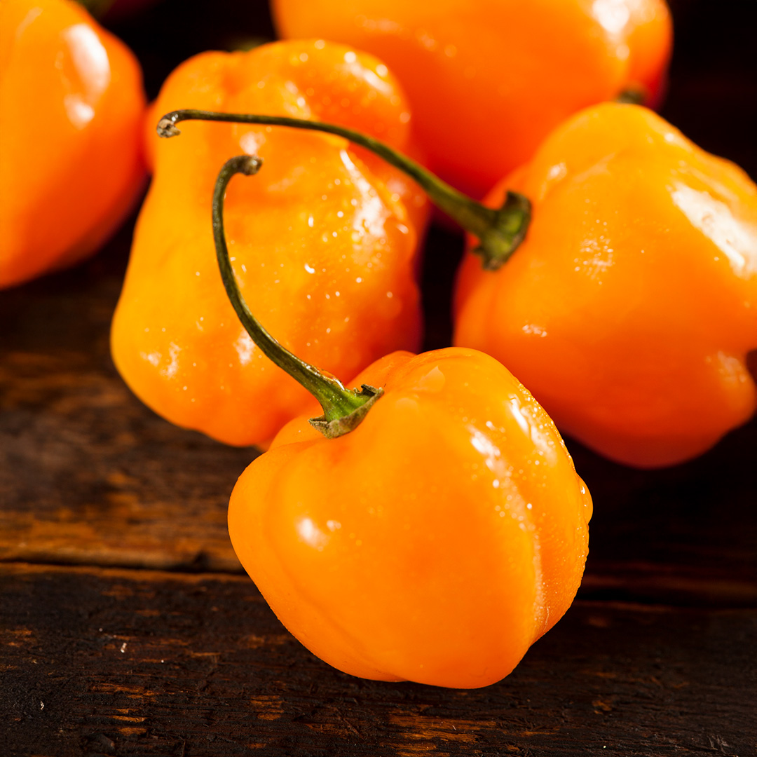Pepper 'Habanero Orange' - Image 2