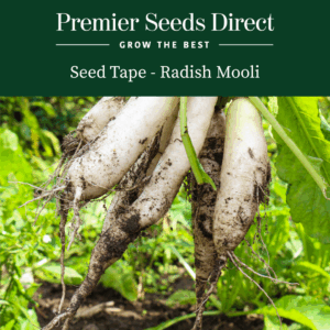 Seed Tape 'Radish Mooli'