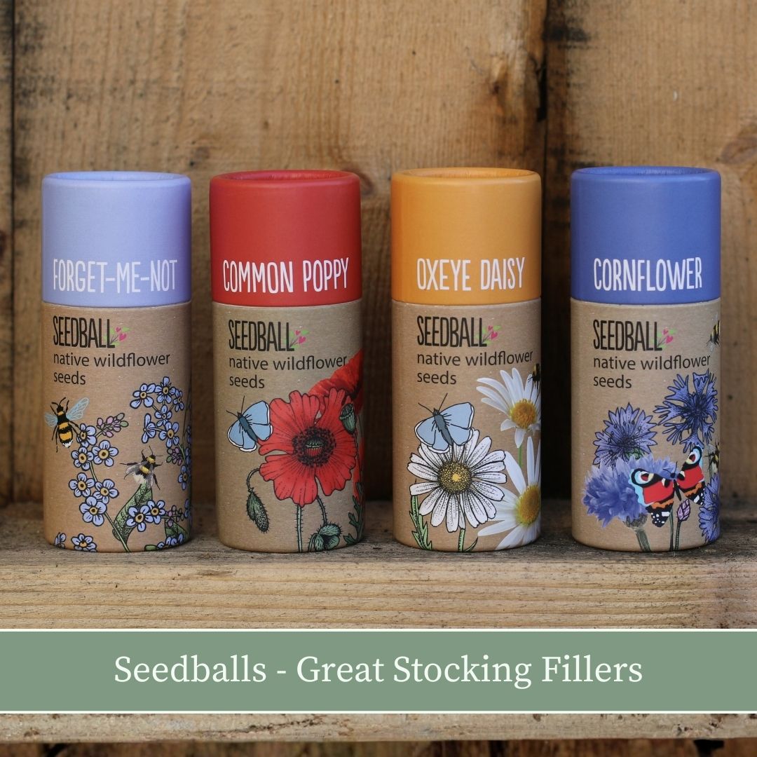 Seedballs Xmas Banner