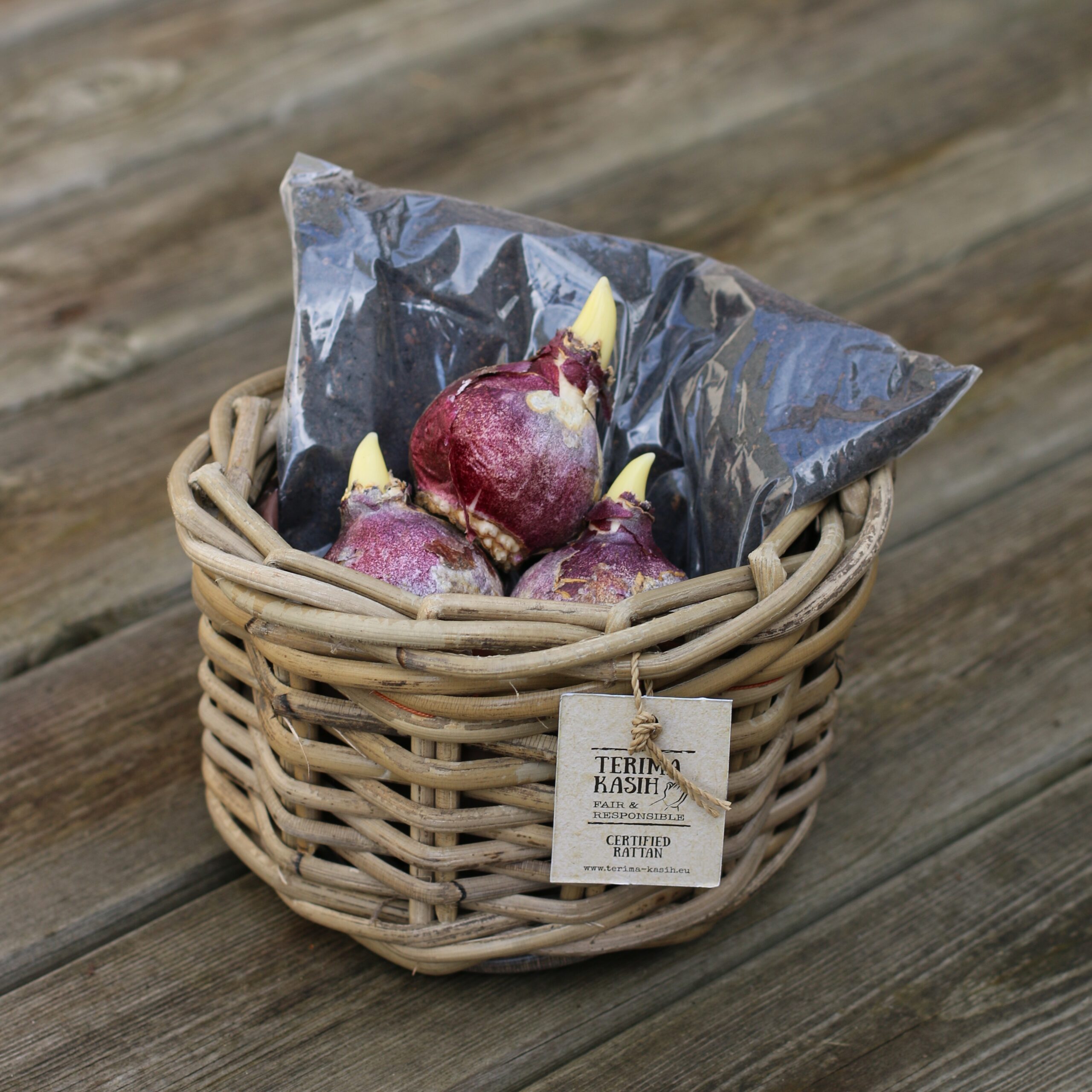 Small Basket - Hyacinth - 2 - 071125 - PSD SQ