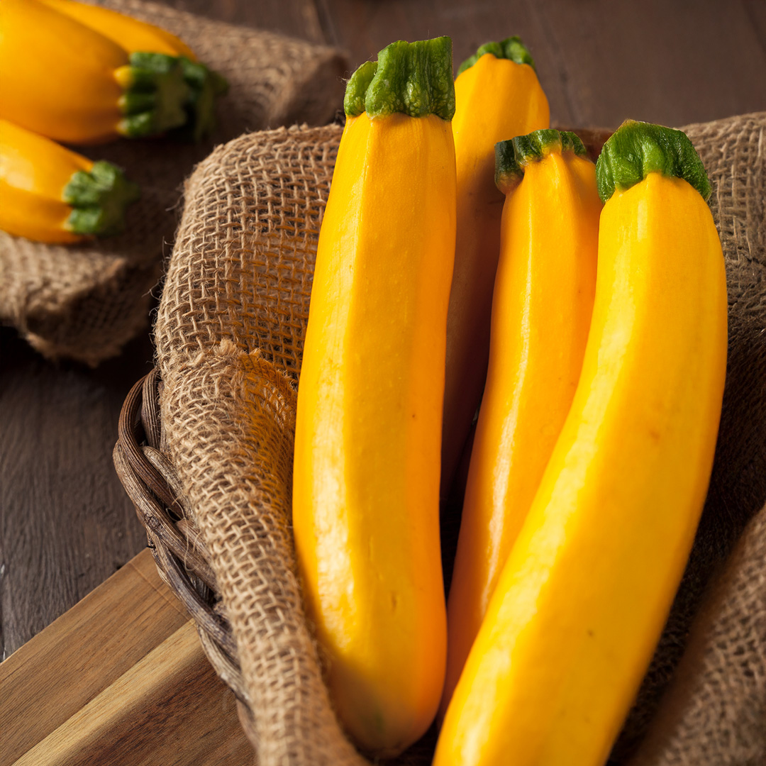 Courgette Sebring F1 - Image 3