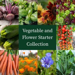 Vegetable & Flower Starter Collection
