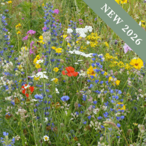 Wildflower Meadow Mix