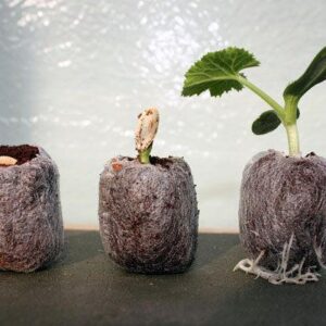 Jiffy 7C Peat-Free Pellets