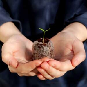 Jiffy 7C Peat-Free Pellets