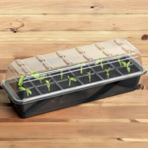 12-Cell Seed Starter Set