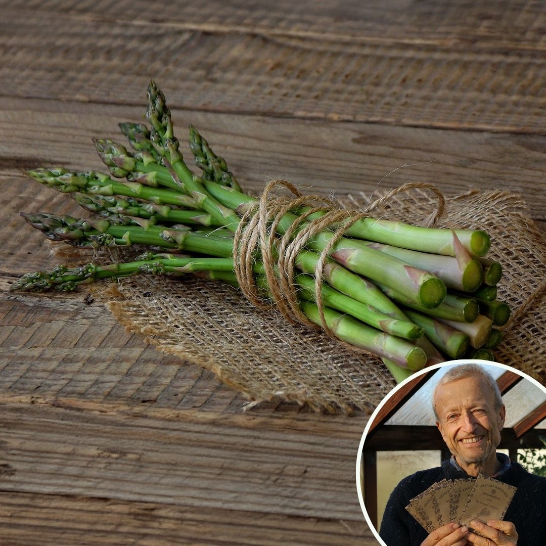 Asparagus 'Mary Washington' - Charles's Seed Selection