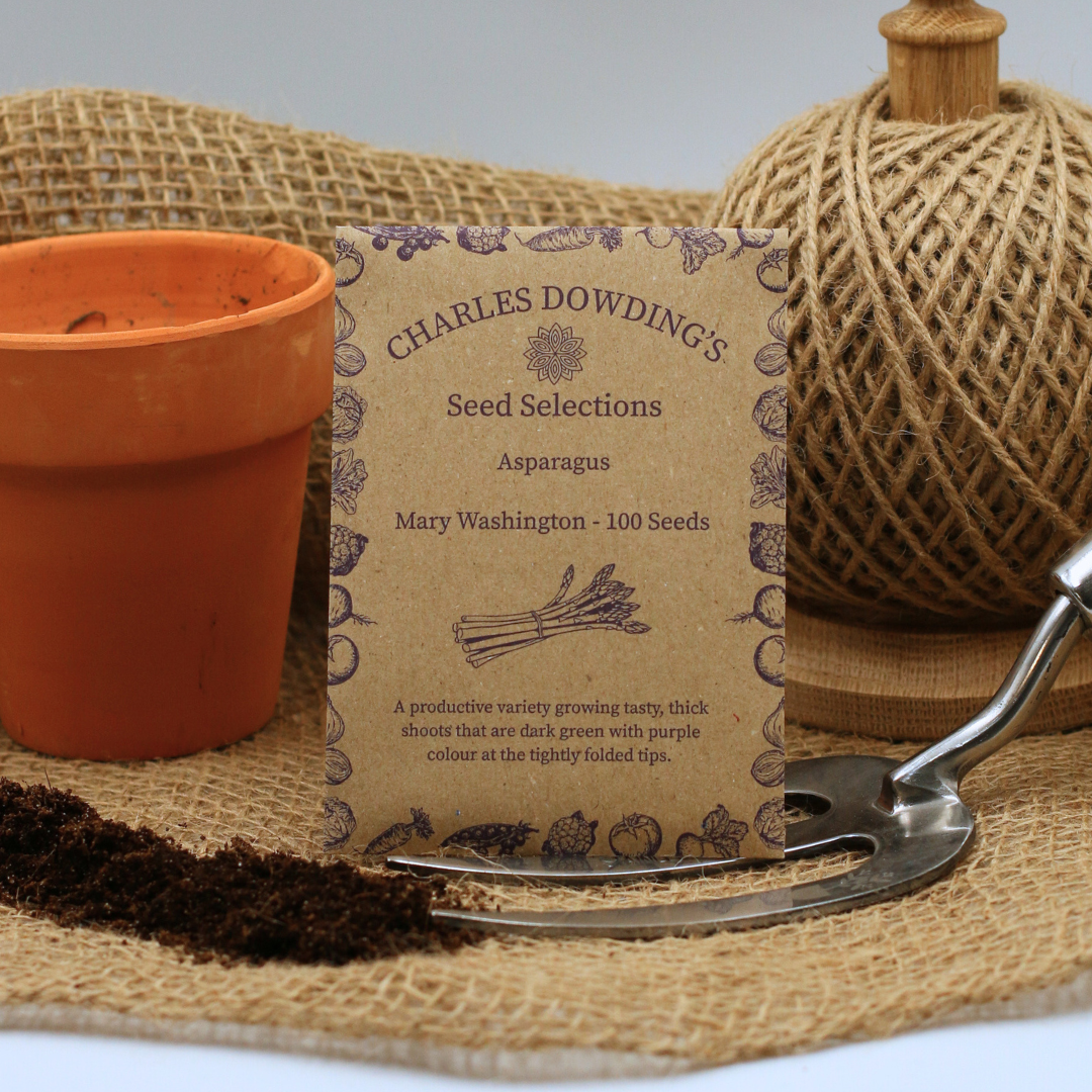 Asparagus 'Mary Washington' - Charles's Seed Selection - Image 2