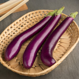 Aubergine 'Long Purple' - Charles's Seed Selection