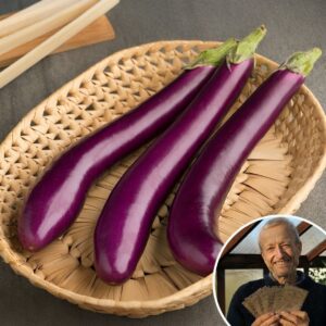 Aubergine 'Long Purple' - Charles's Seed Selection