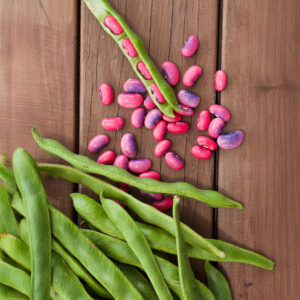 Runner Bean 'Scarlet Emperor'