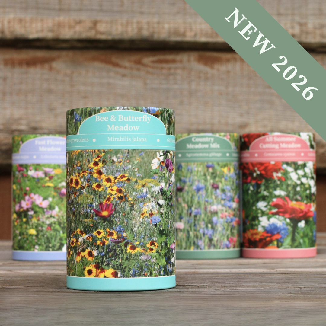 'Bee & Butterfly' Meadow Shaker