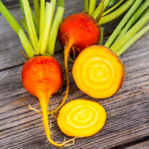 Beetroot 'Burpee Golden'