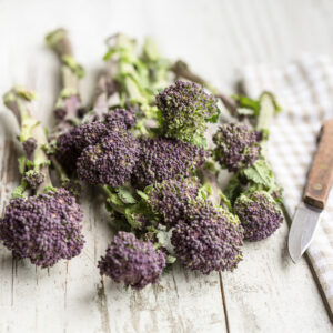 Broccoli 'Claret' F1