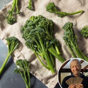 Broccoli 'Tenderette' - Charles's Seed Selection