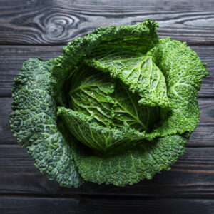 Cabbage 'Cantasa' F1