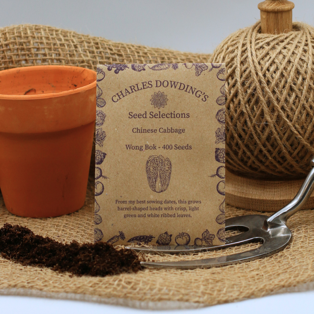 Cabbage 'Wong Bok' - Charles's Seed Selection - Image 3
