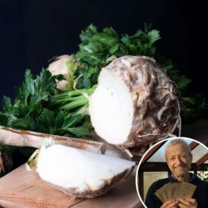 Celeriac 'Prinz' - Charles's Seed Selection