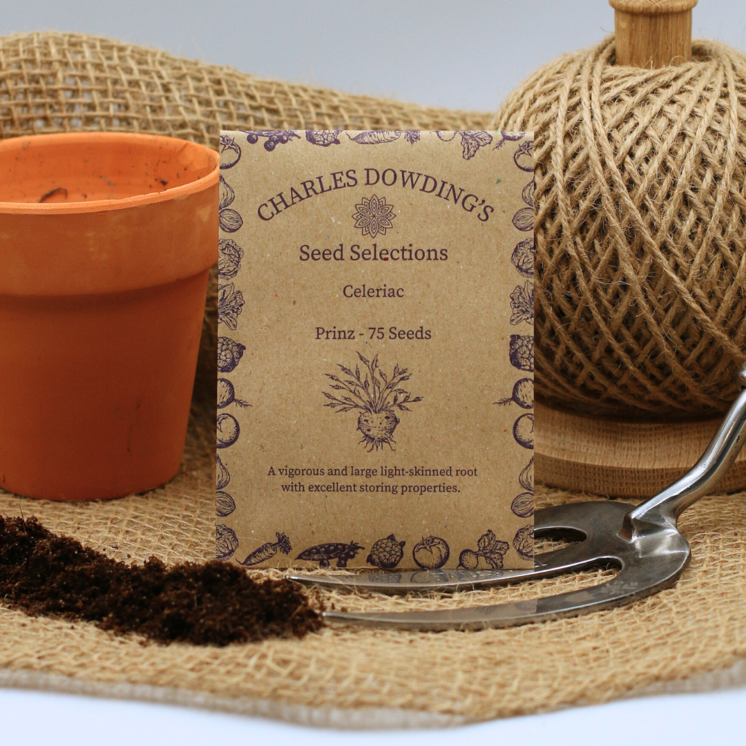 Celeriac 'Prinz' - Charles's Seed Selection - Image 3