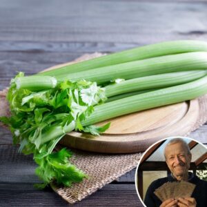 Celery 'Tango' - Charles's Seed Selection