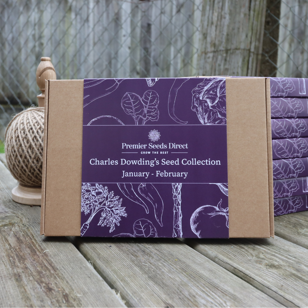 Charles Seed Box