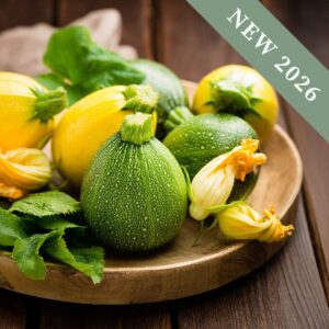 Courgette 'Ball Mix' F1