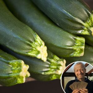 Courgette 'Defender' F1 - Charles's Seed Selection