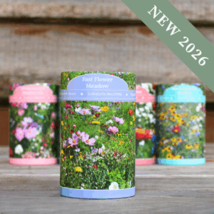 'Fast Flower' Meadow Shaker